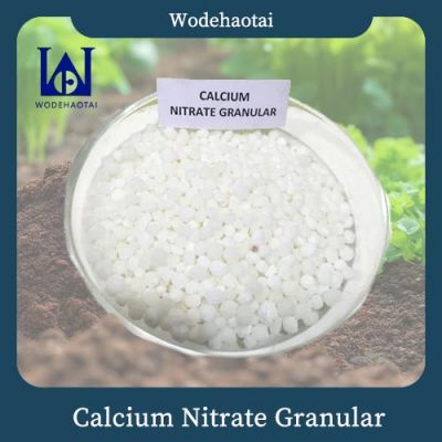 Calcium Nitrate Granular
